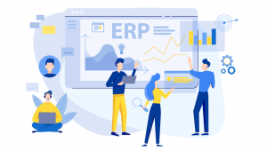 Who is an ERP Software Developer?