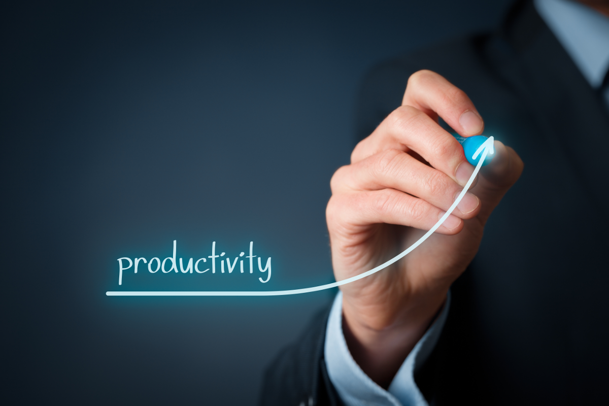 How ERP Software Improves Business Productivity?