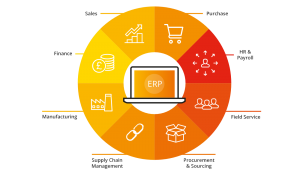 Business ERP Implementation Services