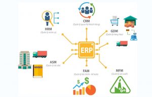 Selecting The Right Government ERP Software: Tips For Success!